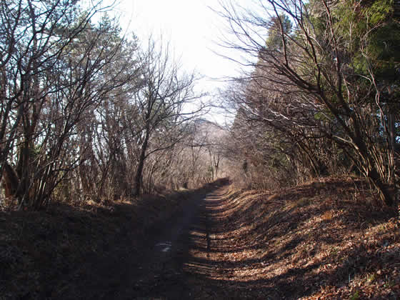 大ちゃんの初！金時山登山