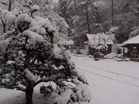 大雪だぁ～