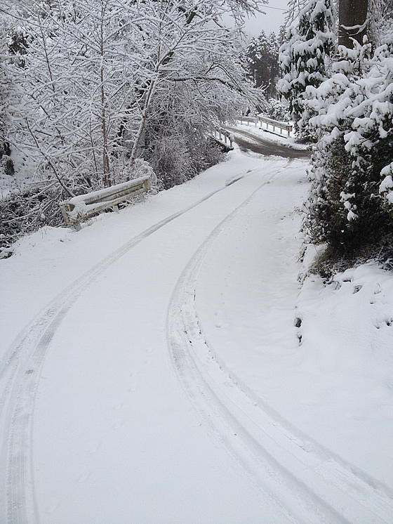 昨日の雪で